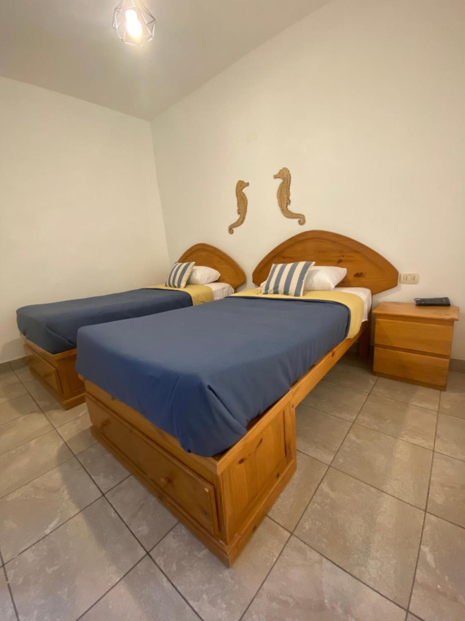 Ravenala Paracas Hostel المظهر الخارجي الصورة