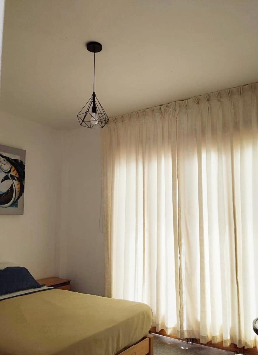 Ravenala Paracas Hostel المظهر الخارجي الصورة
